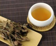 金線蓮泡茶一次放幾根？