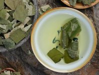 荷葉茶為什么叫短命茶？