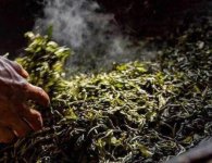 炒茶葉的四大步驟？