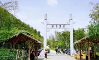 5月12日：徒步貢茶古道，天然氧吧，綠色之旅